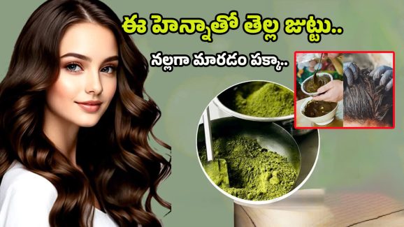 Henna For White Hair: ఈ హెన్నా అప్లై చేశారంటే.. తెల్ల జుట్టు మొత్తం తుమ్మెదలా నల్లగా అవ్వాల్సిందే..!