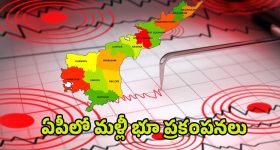 Allu Arjun: బన్నీకి పురంధేశ్వరి సపోర్ట్.. మరి భాదితుల సంగతేంటి?