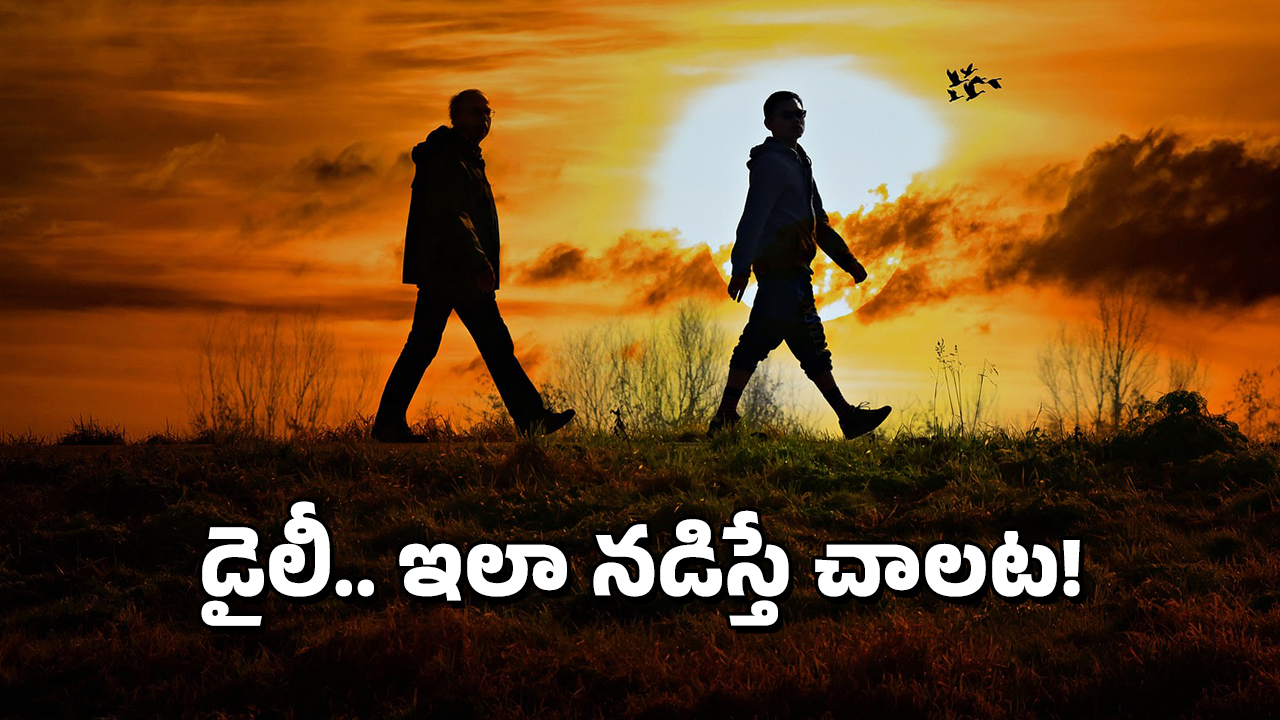 Walking: రోజుకు ఇన్ని అడుగులు వేస్తే చాలు, ఆ ప్రాణాంతక వ్యాధిని అడ్డుకోవచ్చు
