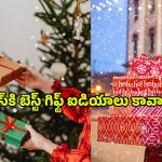Christmas 2024: క్రిస్మస్‌కి బెస్ట్ గిఫ్ట్ ఐడియాలు కావాలా..? అయితే ఇవి తెలుసుకోండి