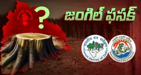 Fake Railway Tickets: ఫేక్ రైలు టికెట్ల స్కామ్..  మాజీ రంజీ క్రికెటర్ అరెస్ట్!