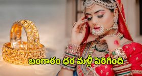 Balagam Venu New Movie: 'ఎల్లమ్మ'కు హీరోయిన్ దొరికేసింది.. పక్కా హైబ్రిడ్ పిల్లనే పట్టారు