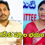 YS Jagan vs Sharmila : షర్మిల టీమ్‌లోకి జగన్ బ్యాచ్! రంగంలోకి రాహుల్