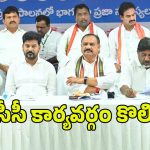TPCC Committee Members: పదవుల పండుగ.. పీసీసీ కార్యవర్గంలో వారికే ఛాన్స్