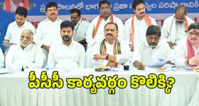 TPCC Committee Members: పదవుల పండుగ.. పీసీసీ కార్యవర్గంలో వారికే ఛాన్స్