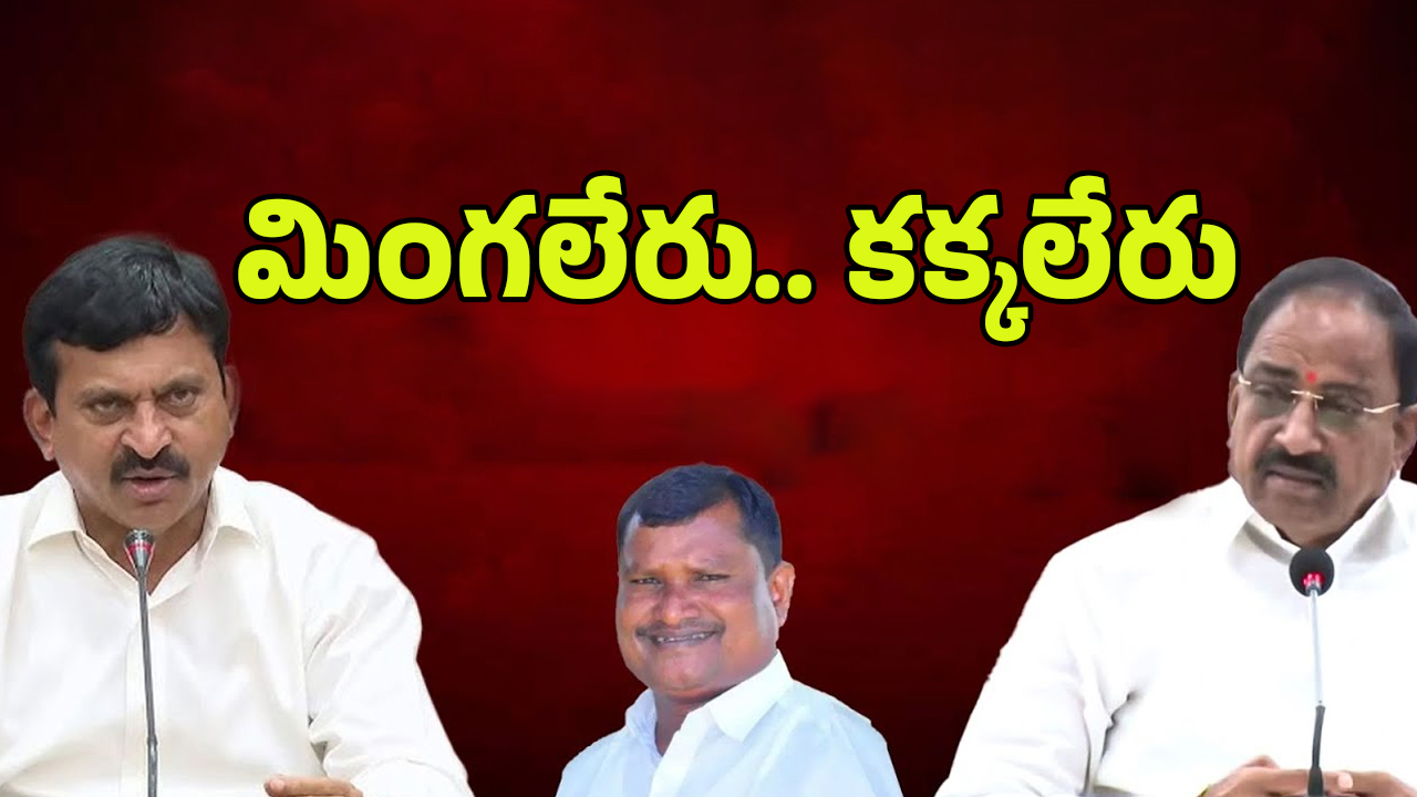 Tummala – MLA Adinarayana: మింగలేరు.. కక్కలేరు.. ఇద్దరు మంత్రుల మధ్య నలిగిపోతున్న ఎమ్మెల్యే