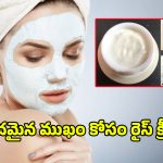 Rice Cream For Face: మీ ఫేస్ ముద్ద మందారంలా మెరిసిపోవాలంటే.. రైస్ క్రీమ్‌తో ఇలా ట్రై చేయండి..