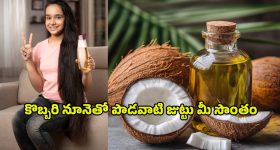 CM Chandrababu: పరదాలు లేవులే జగన్.. కాఫీ పెడితే తప్పేంటి.. సీఎం చంద్రబాబు