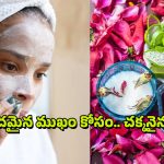Homemade Face Pack: అందమైన ముఖం కావాలా.. అయితే ఈ ఫేస్ ప్యాక్ ట్రై చేయండి