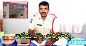 Tips For White Hair: ఇవి వాడితే.. తెల్లజుట్టు అస్సలు రాదు