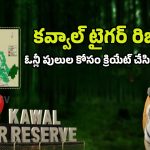 Forest Officers Action Plan: అటవీశాఖ అదిరిపోయే ఐడియా.. ఈ దెబ్బతో టైగర్ పరార్.. జనాలు సేఫ్