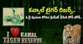Forest Officers Action Plan: అటవీశాఖ అదిరిపోయే ఐడియా.. ఈ దెబ్బతో టైగర్ పరార్.. జనాలు సేఫ్