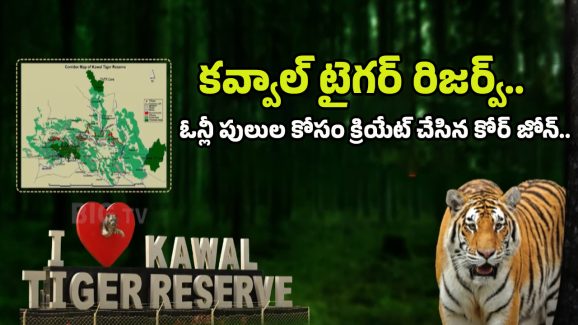 Forest Officers Action Plan: అటవీశాఖ అదిరిపోయే ఐడియా.. ఈ దెబ్బతో టైగర్ పరార్.. జనాలు సేఫ్