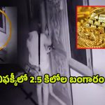 Domalaguda Gold Robbery: గన్‌ గురి పెట్టి.. రూ.2 కోట్లు విలువ చేసే బంగారం దోపిడీ, నిఘా కెమేరాకు చిక్కిన ఘటన