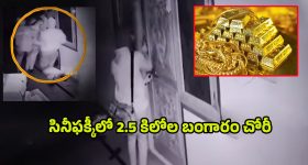 Domalaguda Gold Robbery: గన్‌ గురి పెట్టి.. రూ.2 కోట్లు విలువ చేసే బంగారం దోపిడీ, నిఘా కెమేరాకు చిక్కిన ఘటన