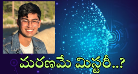 Allu Arjun : ఇన్స్టాలో హయ్యెస్ట్ ఫాలోవర్స్... బన్నీ ఫాలో అవుతుంది మాత్రం ఈ ఒక్కరినే