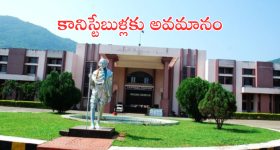 iPhone 15 : బీభత్సంగా పడిపోయిన ఐఫోన్ 15 ధరలు.. రూ.50వేలలోపే!