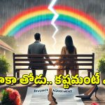 Gray Divorce: ‘గ్రే డివోర్స్’ అంటే ఏమిటీ? ఈ మధ్య అలాంటి విడాకులు ఎందుకు పెరుగుతున్నాయి?