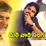 TDP vs Janasena: అలా ఎలా ఇస్తారు? తట్టుకోలేకపోతున్న తమ్ముళ్లు.. వైసీపీకీ షాక్!