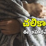 Winter Foods: ఈ చలిని తట్టుకోవాలంటే.. మీరు తినే ఆహారంలో ఇది ఎక్కువ ఉండాలి