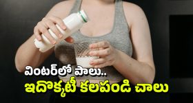 Winter Milk: చలికాలంలో రాత్రిపూట పాలల్లో ఇది కలుపుకుని తాగండి చాలు, ఏ సమస్యా రాదు