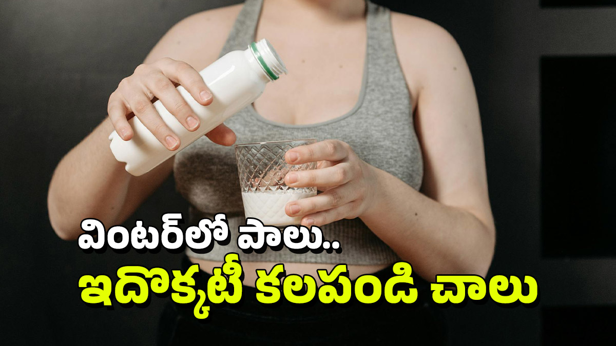 Winter Milk: చలికాలంలో రాత్రిపూట పాలల్లో ఇది కలుపుకుని తాగండి చాలు, ఏ సమస్యా రాదు