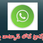 WhatsApp : ఇకపై వాట్సాప్ లోనే ట్రాన్స్లేషన్.. ఎలా పనిచేస్తుందంటే!