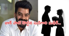 Intinti Ramayanam Today Episode : అక్షయ్ ను రిలీజ్ చేసిన పోలీసులు.. భానుమతికి దొరికిపోయిన పల్లవి..