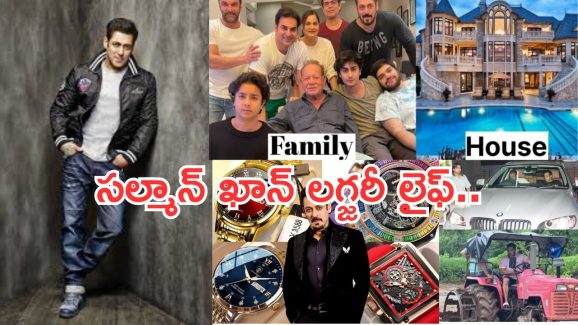 HBD Salman khan: సల్మాన్ ఖాన్ ఆస్తుల విలువ ఎన్ని కోట్లంటే..?