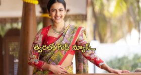 Niharika: మళ్లీ పెళ్లికి సిద్ధమైన మెగా డాటర్.. వరుడు ఎవరంటే..?