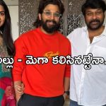 Allu Arjun: మెగా మామ ఇంటికి బన్నీ.. గొడవలకు స్వస్తి..కానీ?