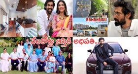Rana daggubati Assets: రానాకి అదృష్టం భలే కలిసొచ్చిందే.. తన సంపాదనే కాదు.. తాతా తండ్రి నుండి ఎన్ని కోట్లంటే..?