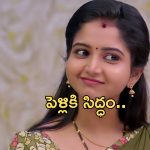 Deepika Rangaraju: పెళ్లి పీటలెక్కనున్న బ్రహ్మముడి కావ్య.. వరుడు ఎవరంటే?