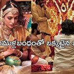 Naga Chaitanya- Shobhita: పెళ్లితో ఒక్కటైన నాగచైతన్య – శోభిత.. అన్నపూర్ణ స్టూడియోలో సెలబ్రిటీల హడావిడి.. !