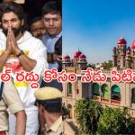 Allu Arjun Case: బన్నీ మెడకు బిగుస్తున్న ఉచ్చు.. బెయిల్ క్యాన్సిల్ చేయాలంటూ పిటిషన్..?