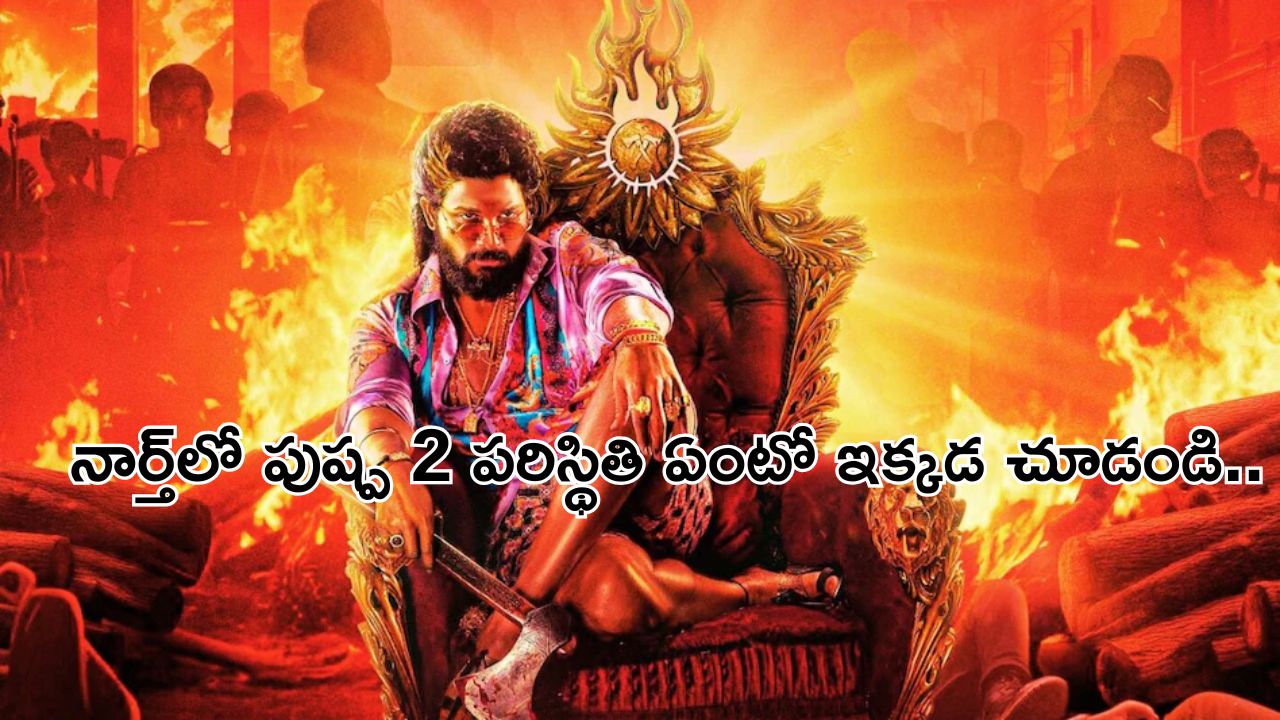 Pushpa 2 Movie : నార్త్ ఇండియాలో పుష్ప బ్రాండ్ కొనసాగిందా..? అసలు ఆడియన్స్ ఏం అంటున్నారంటే..?