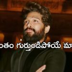 Allu Arjun Case: ఏం చదువుకున్నావ్..? బన్నీ పై సీరియస్ అయిన ఏసీపీ..!