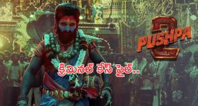 Pushpa2 TheRule : మహేష్ బాబు కోసం స్పెషల్ స్క్రీనింగ్