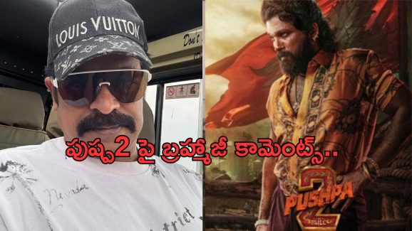 Brahmaji: ఒక్కమాటలో పుష్ప-2 రివ్యూ.. చూడొద్దంటూ ట్వీట్..!