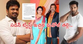 Hibiscus Tea: ఈ టీ త్రాగితే.. వ్యాధులన్నీ పరార్ !