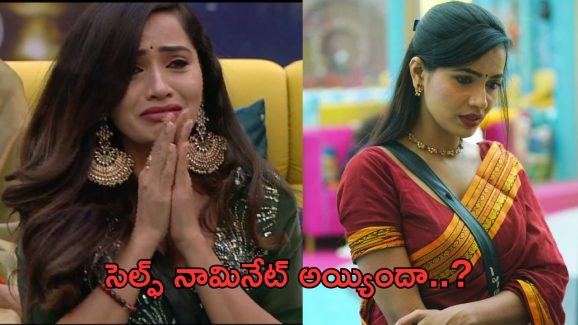 Bigg Boss: చేతులెత్తేసిన లేడీ ఫైర్ బ్రాండ్.. వెళ్ళిపోతానంటూ ఏడుపు..!