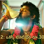 Pushpa 2: అక్కడ టికెట్ ధర రూ.3000.. ఇండియాలో ఎక్కడంటే..?