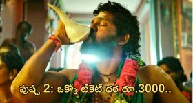 Pushpa 2: అక్కడ టికెట్ ధర రూ.3000.. ఇండియాలో ఎక్కడంటే..?
