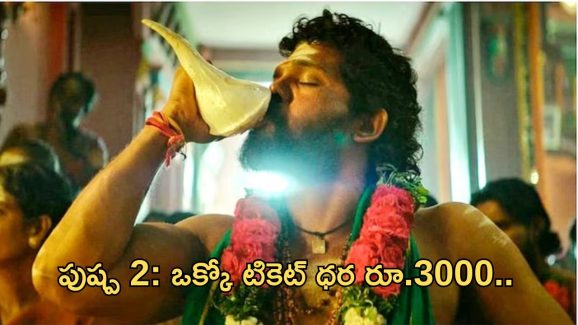 Pushpa 2: అక్కడ టికెట్ ధర రూ.3000.. ఇండియాలో ఎక్కడంటే..?