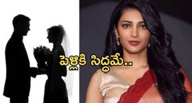 Shruti Haasan: మరో తోడు కోరుకుంటున్న శృతిహాసన్.. ఏమన్నదంటే..?