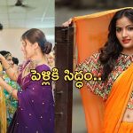Siri Hanumanth:ఎట్టకేలకు ప్రియుడితో పెళ్లికి సిద్ధమైన బిగ్ బాస్ బ్యూటీ..ఎప్పుడంటే..?
