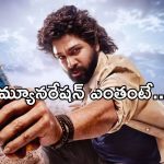 Allu Arjun – Thumps up: థండర్ కోసం వైల్డ్ ఫైర్ రెమ్యూనరేషన్ ఎంతంటే..?