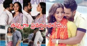 Biryani-Dosa: దక్షిణాది రుచులు అదుర్స్.. ఉదయం దోశ, రాత్రికి బిర్యానీ