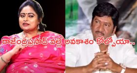 Rajendra prasad: అతడి వల్లే నా కెరియర్ ఆగిపోయింది.. సీనియర్ హీరోయిన్..!
