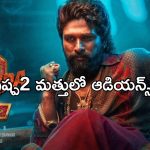 Allu Arjun: పుష్ప2 దెబ్బకు బాలీవుడ్ విలవిల.. అసలేమైందంటే..?
